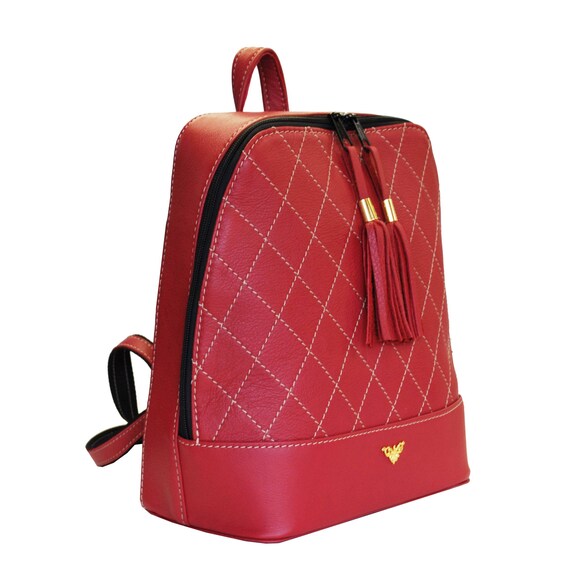 stylish leather backpack