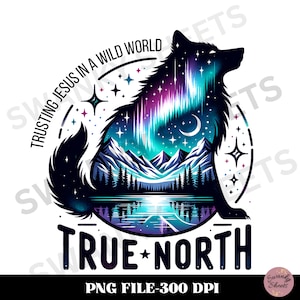 True North Vbs PNG, Vacation Bible School PNG Vbs Sublimation Digital Design, VBS 2025 Digital Download, Christian Summer Camp Png