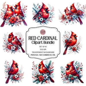 Roter Kardinal Clipart-Set, PNG-Dateien, Aquarell Vogel Illustrationen, Winter und Urlaub Dekor, Kardinal Bundle, Winter Clipart