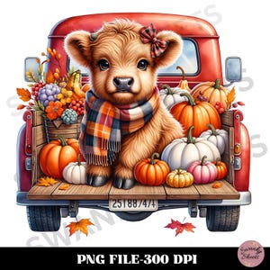 Op de afbeelding: Een rode vintage pick-up truck met een laadbak vol pompoenen en herfstbladeren. Een Highland-koe met een geruite sjaal zit in het midden van de laadbak. Het kenteken van de truck is "25188/4/4".