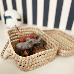 Palm suitcase 30 x 20 cm storage basket