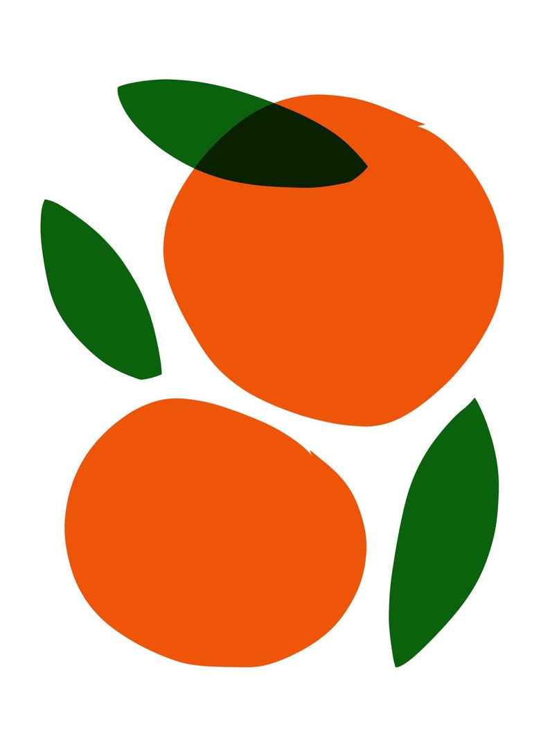 Two Oranges image 3
