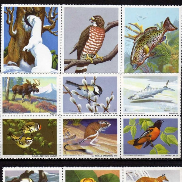 National Wildlife Federation Stamps, 1959, Complete Set, Fish stamps, Animals, Bird stamps, Flowers, Wildlife Stamps, Nature Stamps,Collages