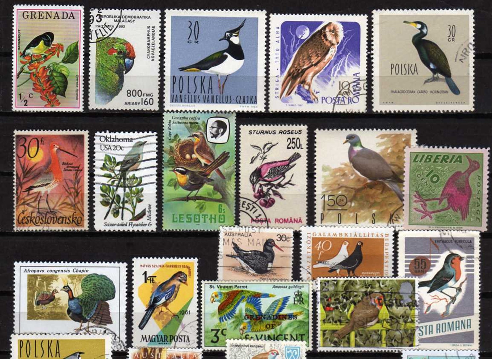 BIRD Stamps 60 Diff Bird Postage Stamps Birds on Stamps Etsy