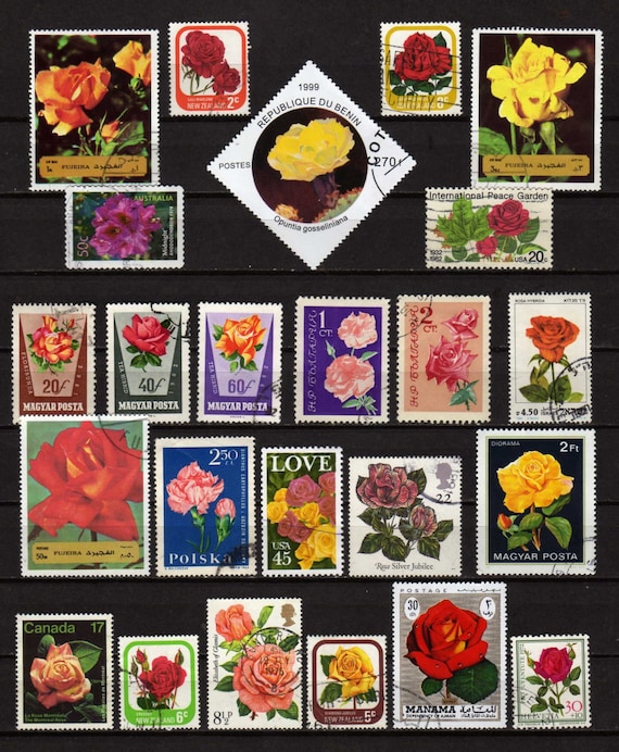 Roses Stamps, Flower Stamps,roses Postage Stamps, Roses, Floral Stamps,  Floral, Flower Postage Stamps, Stamps, Worldwide Stamps 