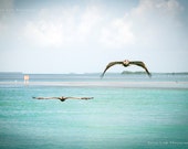 Ocean Landscape Art Pelican Birds Beach House Lake Cabin Tropical Home Apartment Bungalow Pared Colgante Imagen Fotografía Cartel Impresión