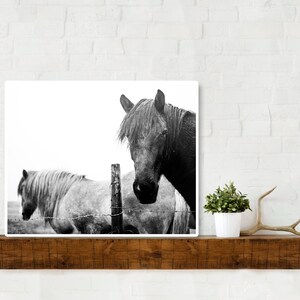 Black and White Icelandic Horses / Instant Digital Download / Printable Wall Art / Minimalist Original Photography / Scandinavian Decor