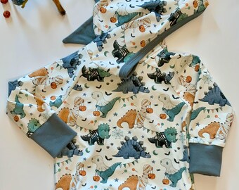 Baby organic clothing/toddler organic clothing/boy sweatshirt/boy dinosaur sweatshirt/boy fall clothing/boy Halloween clothing