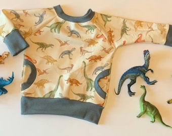 Boy dinosaur sweatshirt/vintage dinosaur sweatshirt/baby boy dinosaur/toddler boy Dino/organic boy clothing/boy Dino birthday/boy gift