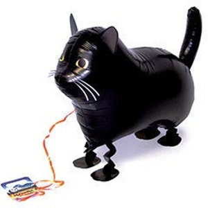 Ship my cat shop