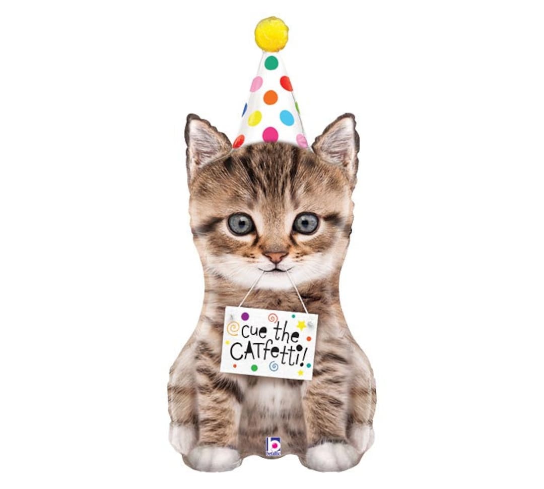 36 Cue the Catfetti Foil Balloon Celebration Kitty - Etsy