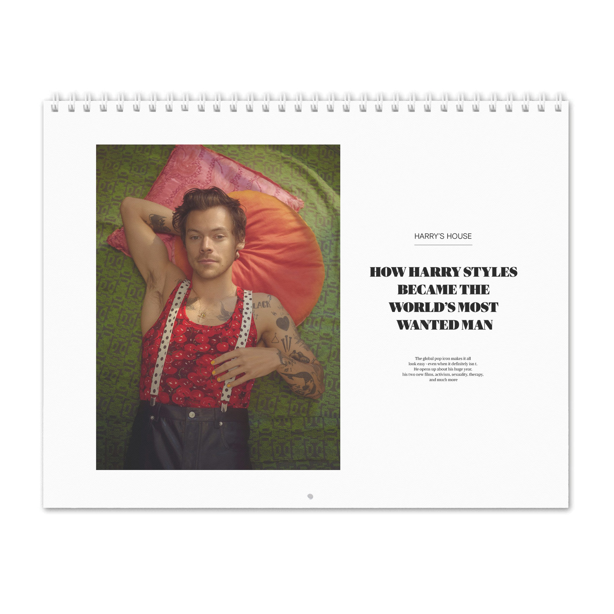 Harry Styles Vol.6 2023 Wall Calendar - Etsy