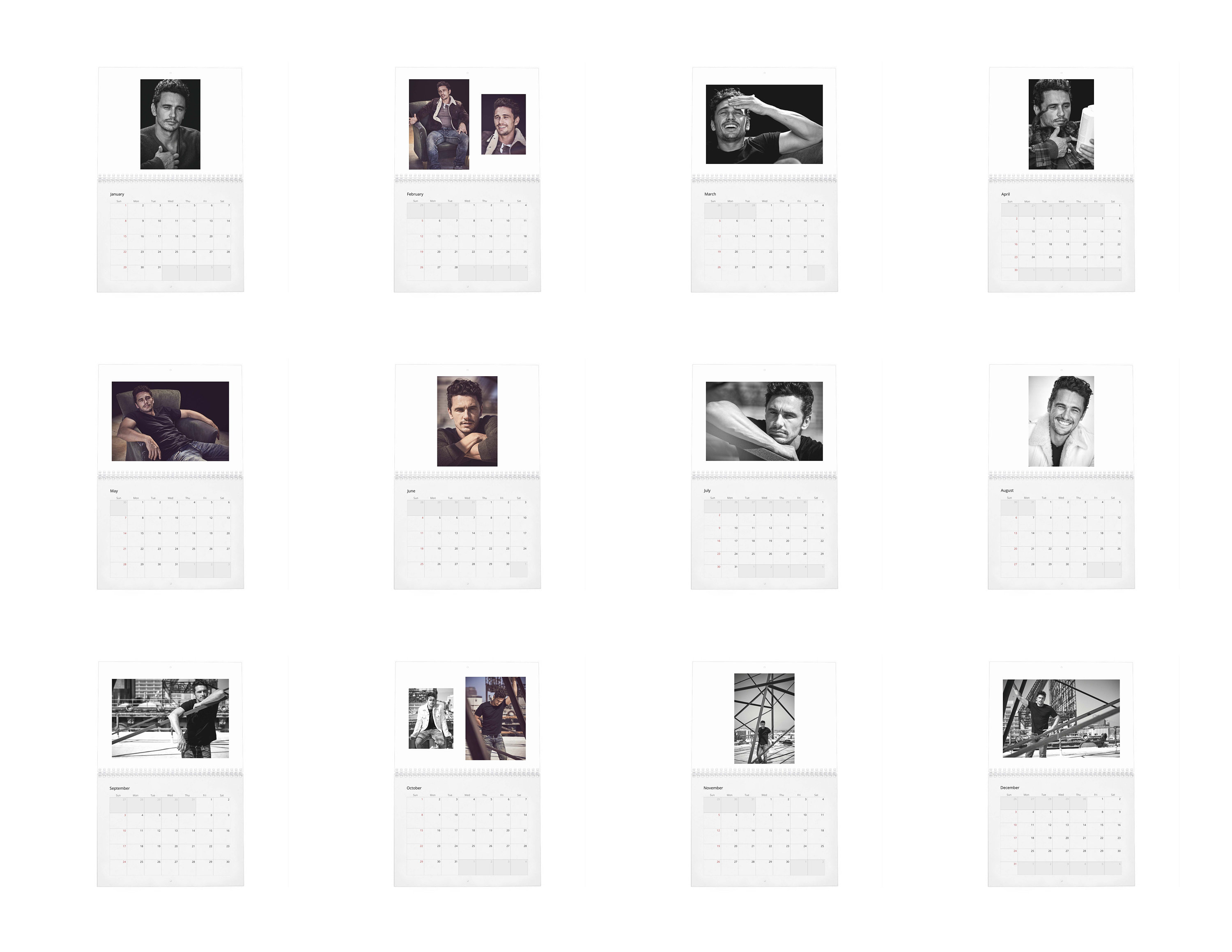 James Franco Vol.1 2024 Wall Calendar sold by Victorious Hash SKU