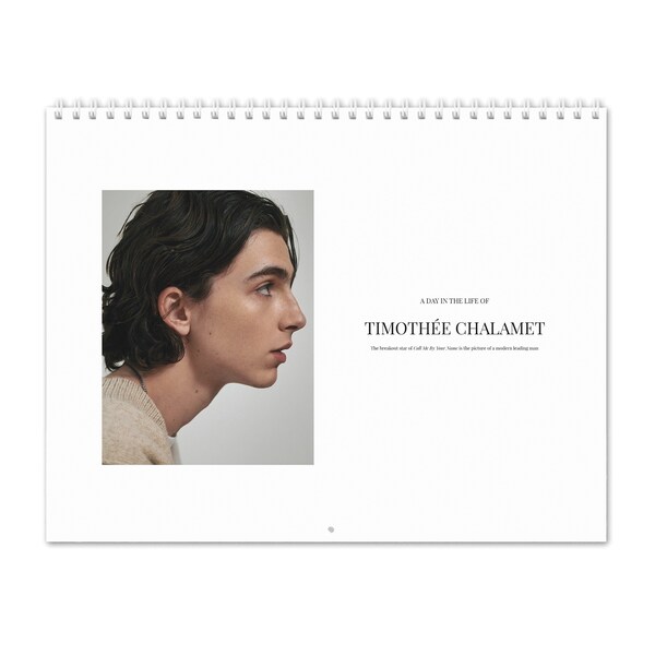 Timothée Chalamet Calendar Etsy