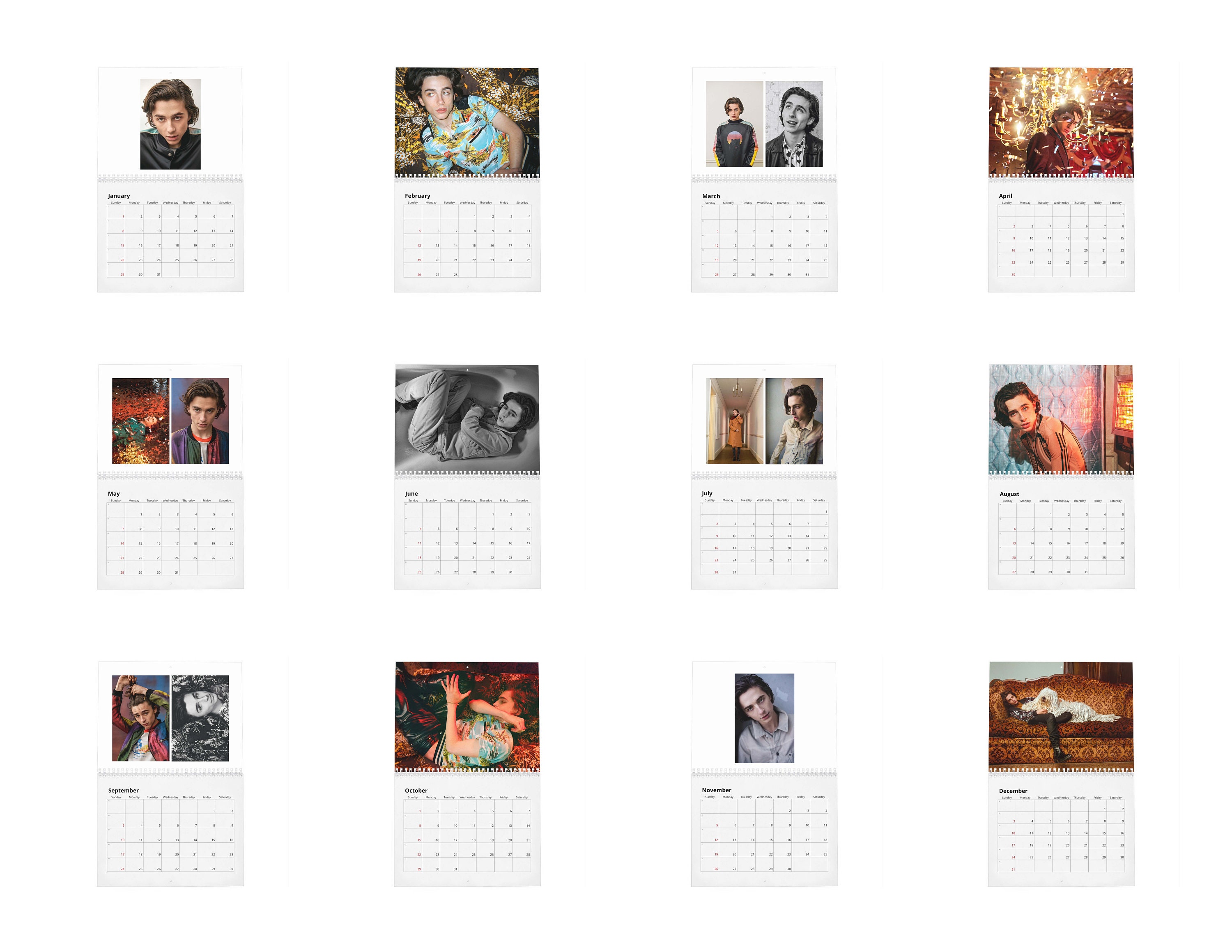 Cwu 2023 Calendar Timothée Chalamet Vol.1 2023 Wall Calendar | Etsy Uk