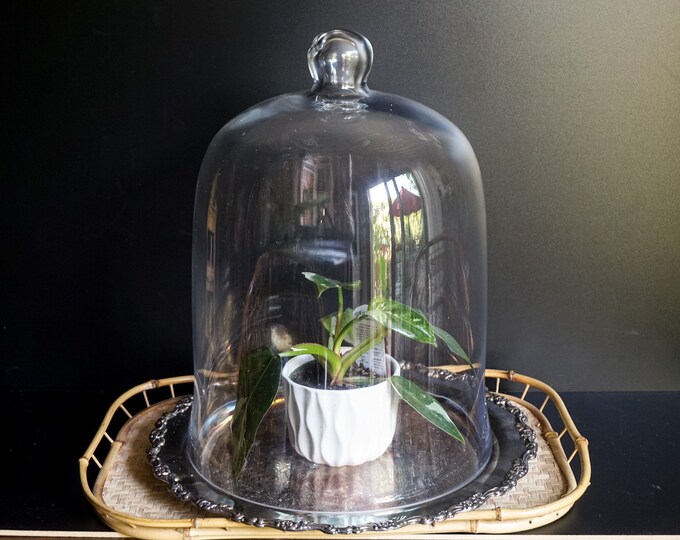 Large Glass Cloche With Silver Plate Base Etsy