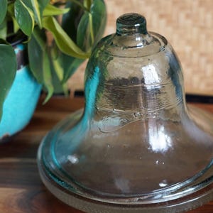 small blown glass bell cloche with base / garden cloche cover