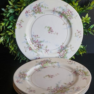 theodore haviland apple blossom dessert plates, set of 4