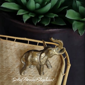 May include: A solid brass elephant figurine with its trunk raised, standing on a woven bamboo tray. The text "Solid Brass Elephant" is below the figurine. A large green succulent plant is in the background.