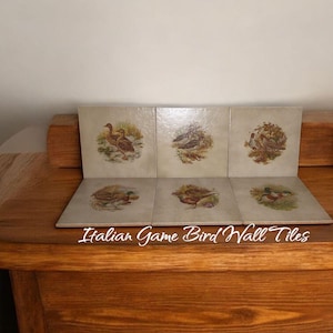 May include: Six square wall tiles with vintage bird illustrations. The tiles feature various game birds in a natural setting, with a neutral background. The text "Italian Game Bird Wall Tiles" is displayed on the bottom.