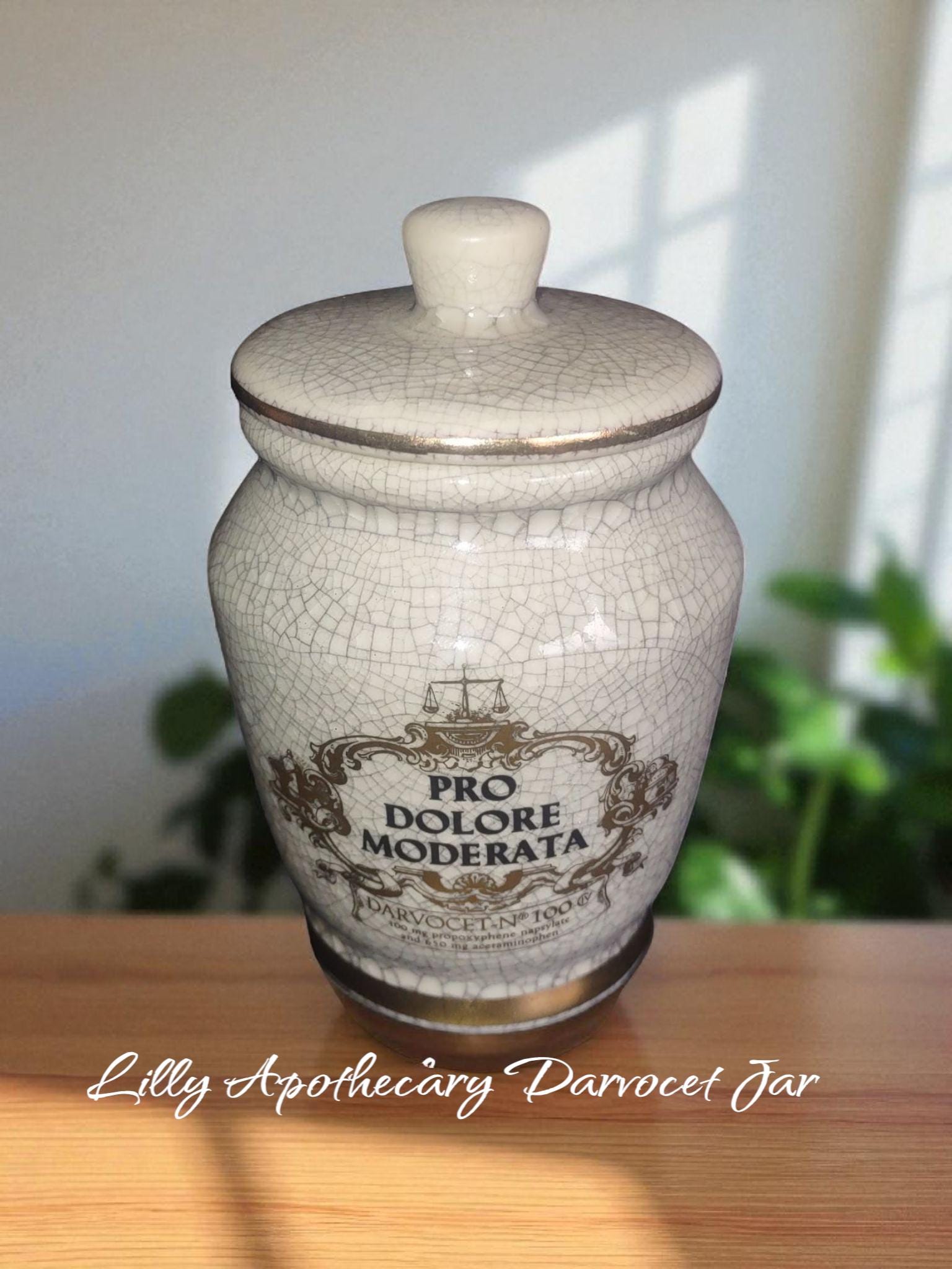 Vintage Lilly Apothecary Pro Dolore Moderata Darvocet N 100 Jar - Etsy