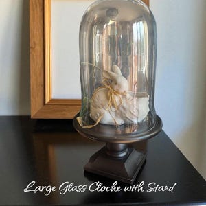 glass cloche with black wood pedestal, large