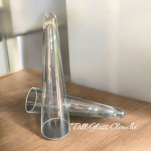 tall cone glass cloche / vintage glass cloche