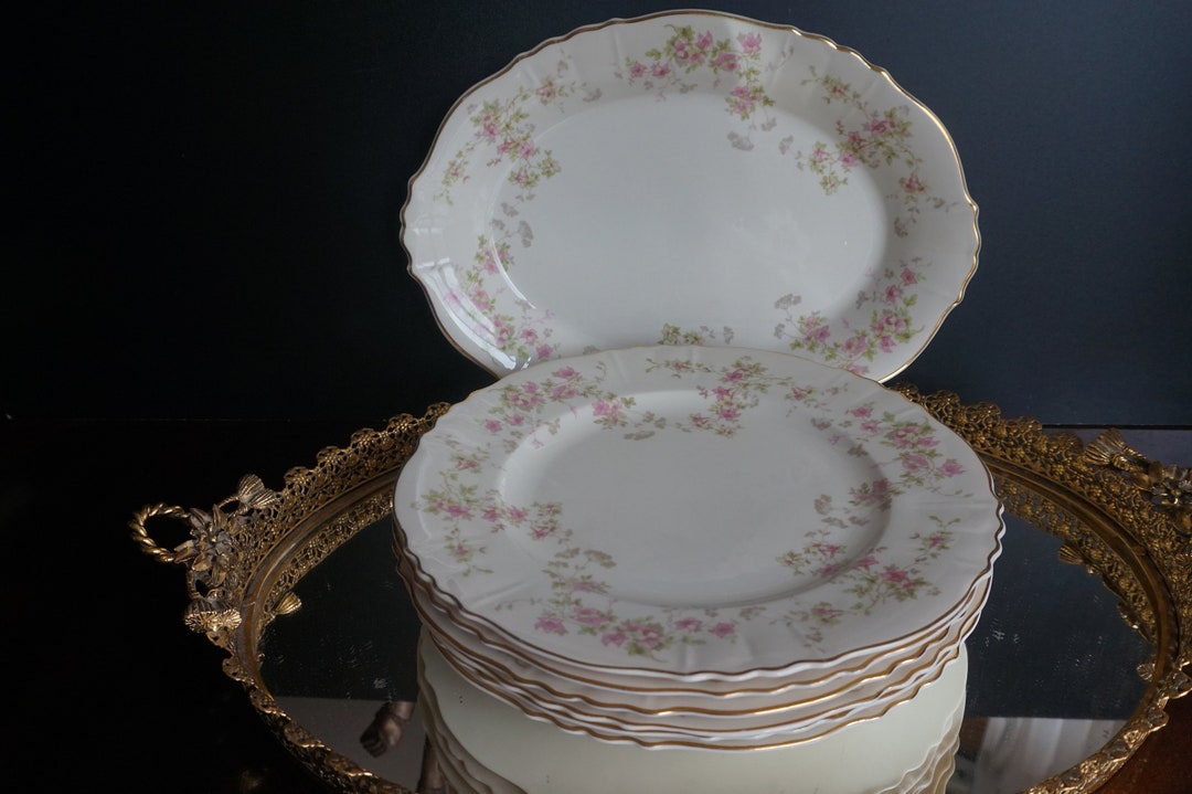 Beautiful, Federal Shape Syracuse Stansbury China Platter With 6 Dinner
