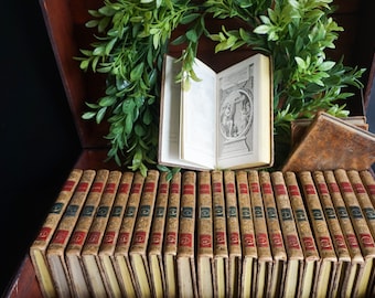 May include: A collection of antique books with leather covers, arranged in a wooden chest. A single open book with an illustration is visible in the center.