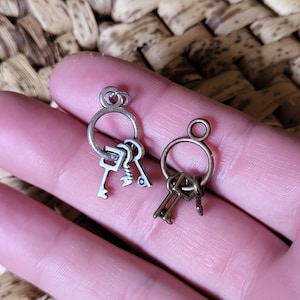 Peut inclure: Deux ensembles de breloques miniatures en forme de clés. L'un est argenté, l'autre doré. Chaque ensemble comprend un anneau avec plusieurs minuscules clés attachées. Les clés ont des détails complexes, et le fond est une texture tissée.