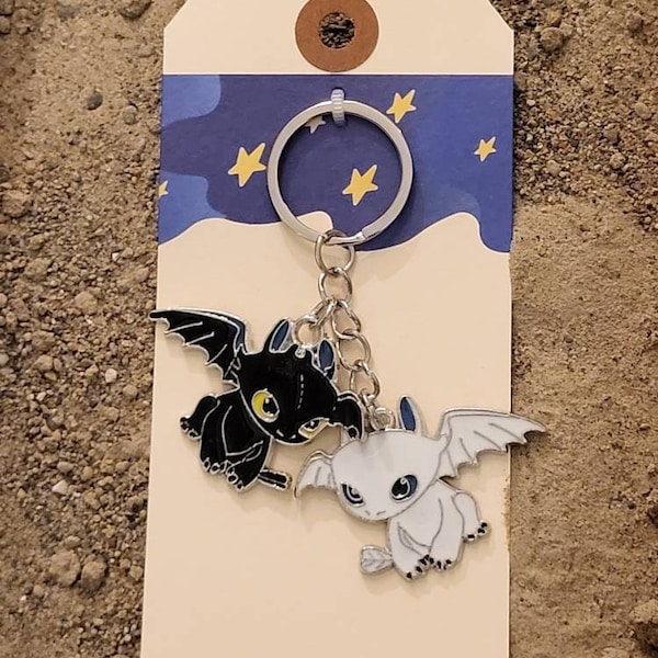 How to Train Your Dragon - the keychain - 2 options!