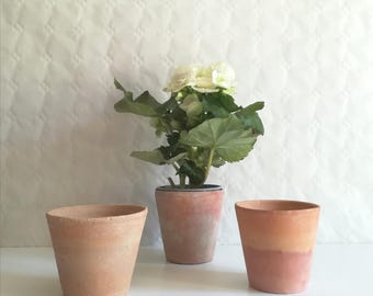 Set of 3 Nice French Vintage Terracotta pots, 50&#39;s.