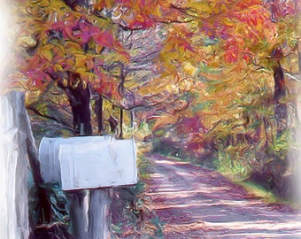 Mailbox, Country Lane in West Virginia Mountains