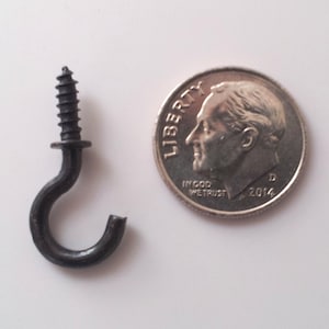 May include: A black metal screw-in hook with a rounded hook shape. The hook is about the size of a US dime.