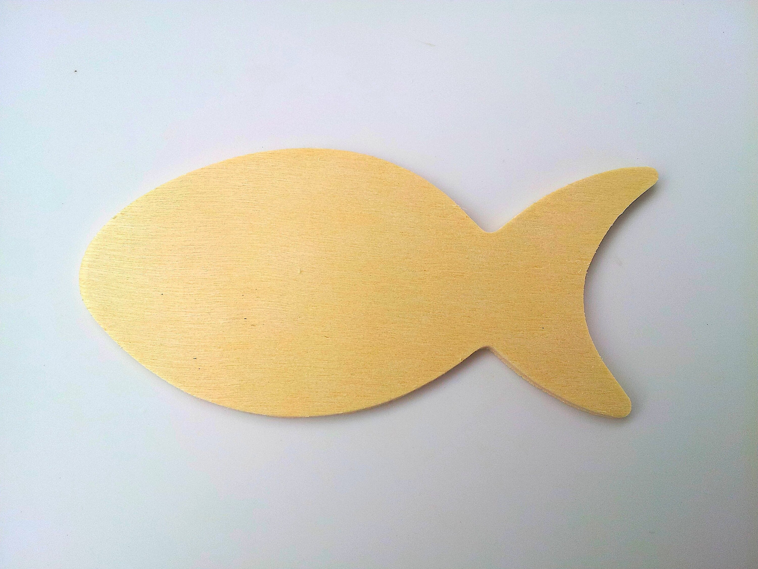 LEOGOR Multilayered Wood Crafts for Kids - Painting Activity with Unfinished Fish Cutouts - DIY Wooden Things to Paint for Girls Ages 8-12 and Boys