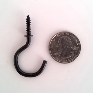 May include: A black metal screw-in hook with a rounded hook shape. The hook is about the size of a US quarter.