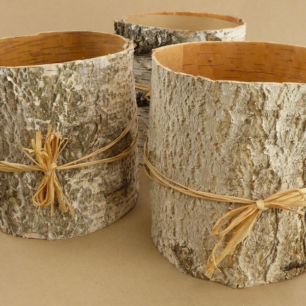 Natural Birch Bark Plant Sleeve Pot • Vase • Decorative Container • Wedding • Floral Wrap • Spring • Indoor Outdoor • Bridal • Sheet