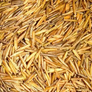 BINESHII 3-LBS GHOST Wild Rice . The Most Exquisite Wild Rice In The World. Hand-harvested, Wood Parched. Harvesting Wild Rice For 50 Years.