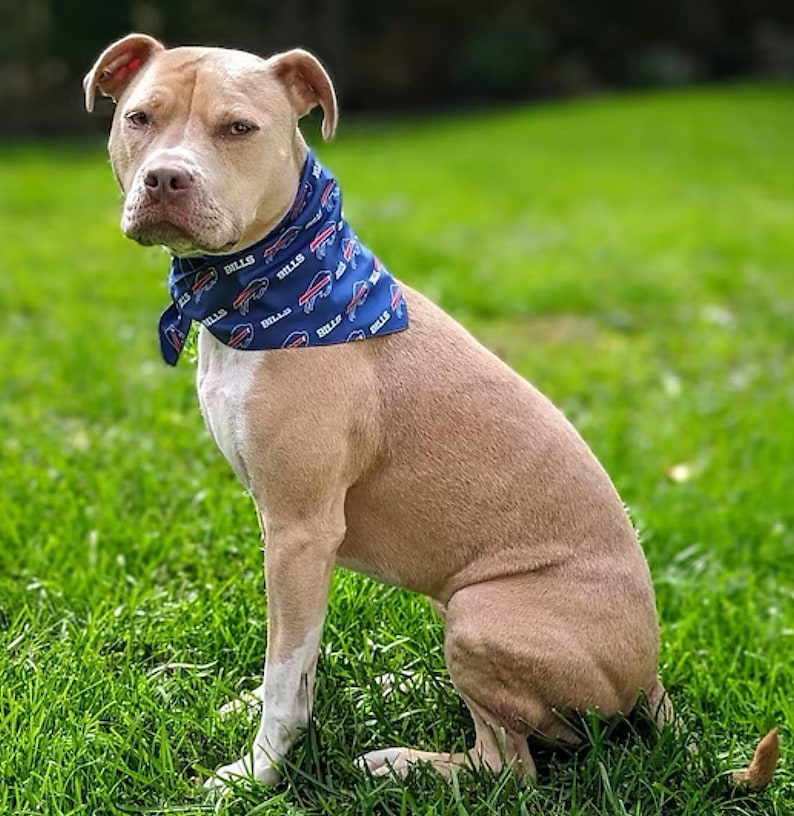Personalized Bandanas - Custom Printed with Your Image on Classic Poplin or Silky Satin image 17
