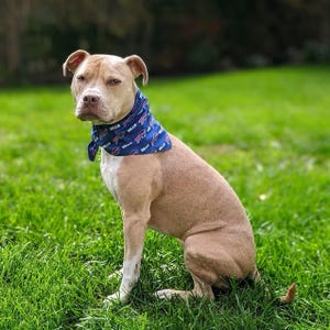 Custom Personalized Bandanas with your Photo or Text image 13