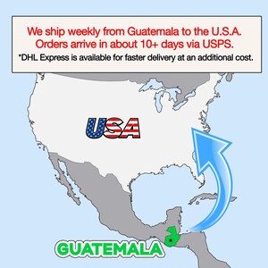The image is a map of the United States and Central America, with a text overlay indicating that the U.S. ships weekly from Guatemala to the U.S.A. and orders arrive in about 10+ days via USPS. The text also mentions that "DHL Express is available for faster delivery at an additional cost."