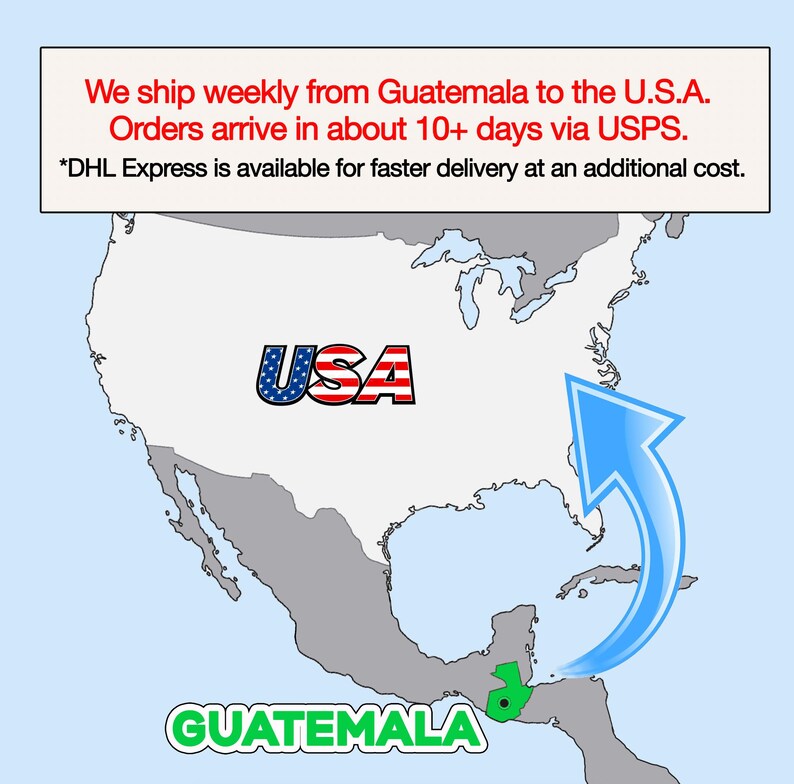 The image is a map of the United States and Central America, with a text overlay indicating that the U.S. ships weekly from Guatemala to the U.S.A. and orders arrive in about 10+ days via USPS. The text also mentions that "DHL Express is available for faster delivery at an additional cost."