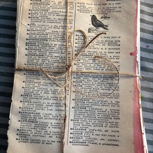 May include: A stack of aged dictionary pages tied with twine. The pages display various word definitions, with a small illustration of a raven. The paper has a vintage, slightly distressed appearance, with pink edges.