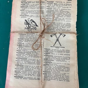 May include: A stack of aged dictionary pages bound with twine. The pages display various words and definitions, with illustrations of birds and axes. The theme is vintage literature and education.