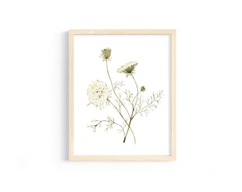 Watercolor flower poster, Queen Ann's Lace, wildflower poster