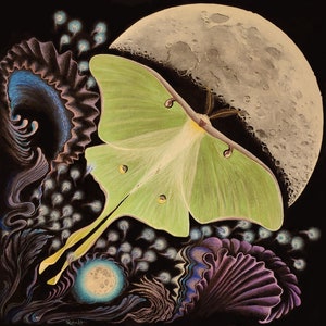 Luna - High-Quality Giclee Print (limited edition)