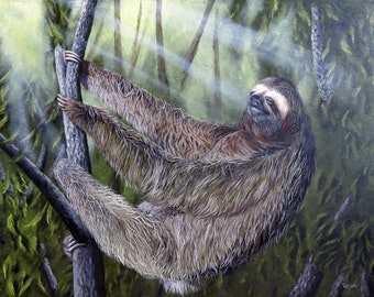 Sloth Life - Firmato, Stampa D'Archivio