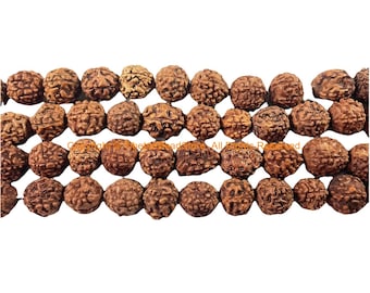 May include: Rows of brown, textured beads, likely for a necklace or bracelet. The beads have a rough, organic appearance, with a natural, earthy color. The beads are strung together, creating a pattern of repeating shapes.