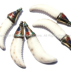 Tybetański wisiorek z muszli Naga z mosiądzem, lapis lazuli i turkusową nakładką - Boho Ethnic Tribal Horn Tusk Tooth Amulet - WM6028