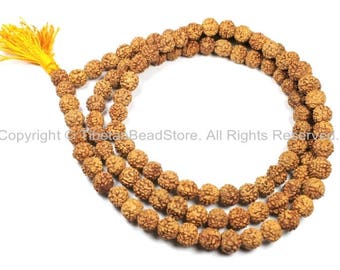 108 beads 10mm Natural Rudraksha Seed Beads - Nepal Tibetan Rudraksha Seed Prayer Mala Beads- TibetanBeadStore Mala Making Supplies - PB90Y